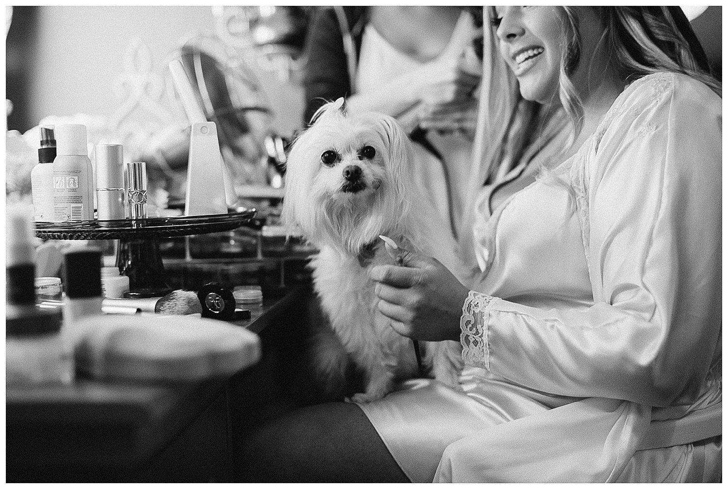 bride getting ready with her puppy