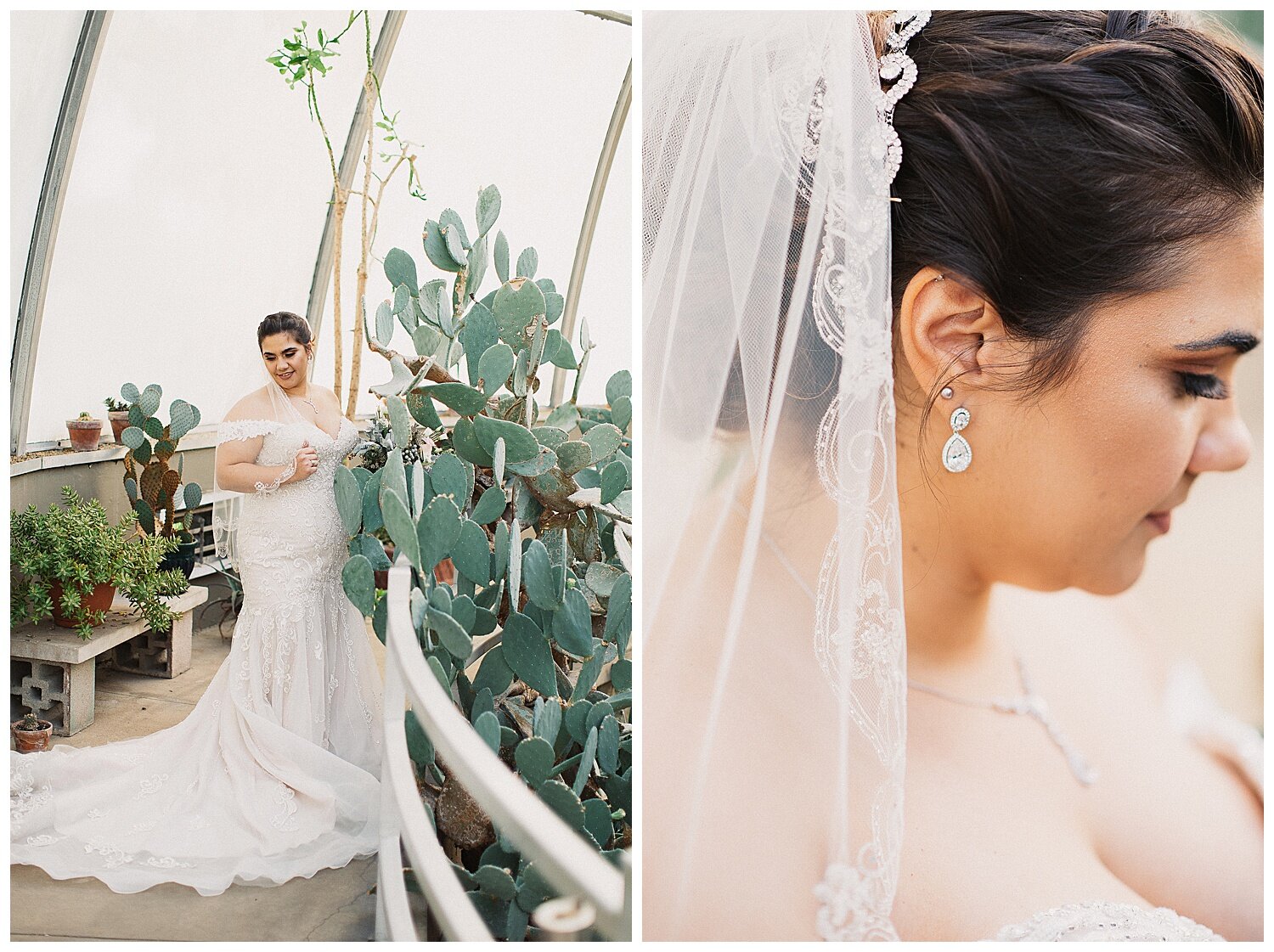 bridal portraits at a greenhouse in south bend Indiana