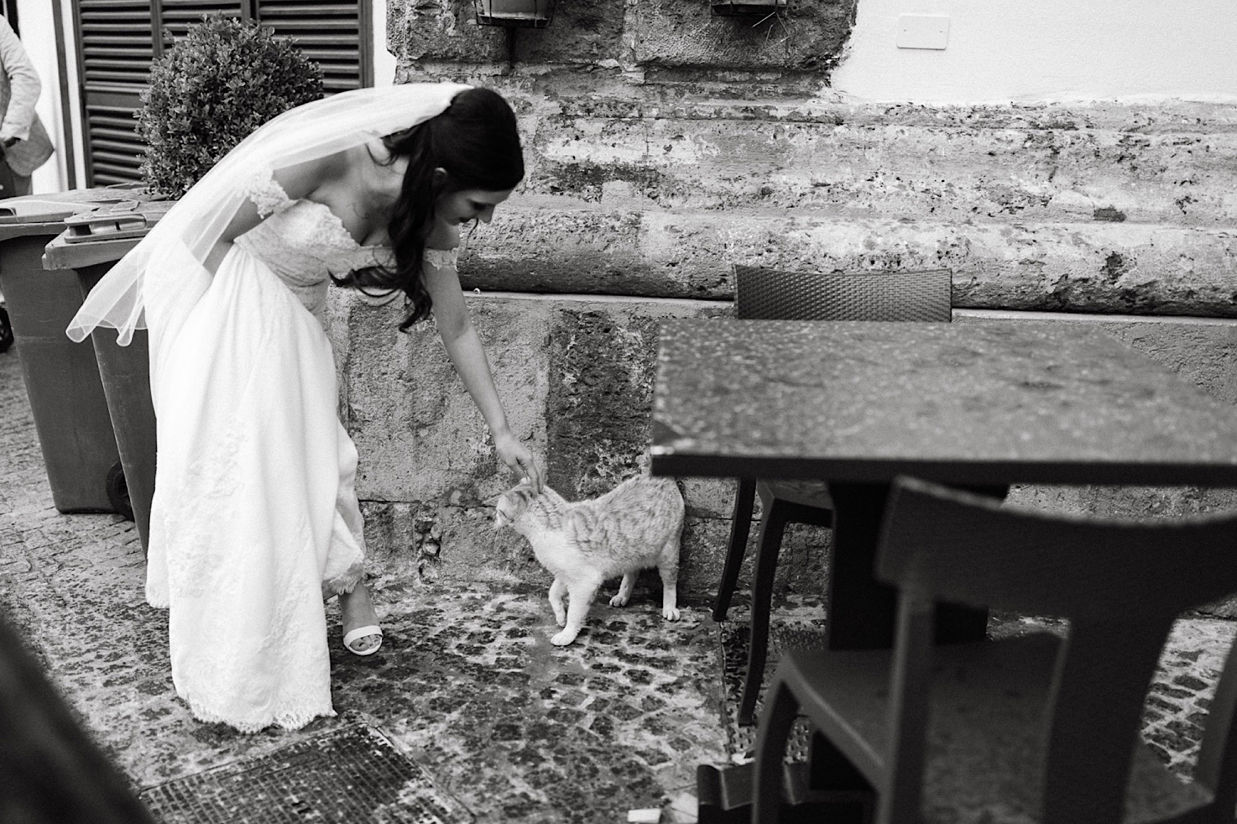  The bride and a cat in the streets of Sorrento, Italy. 