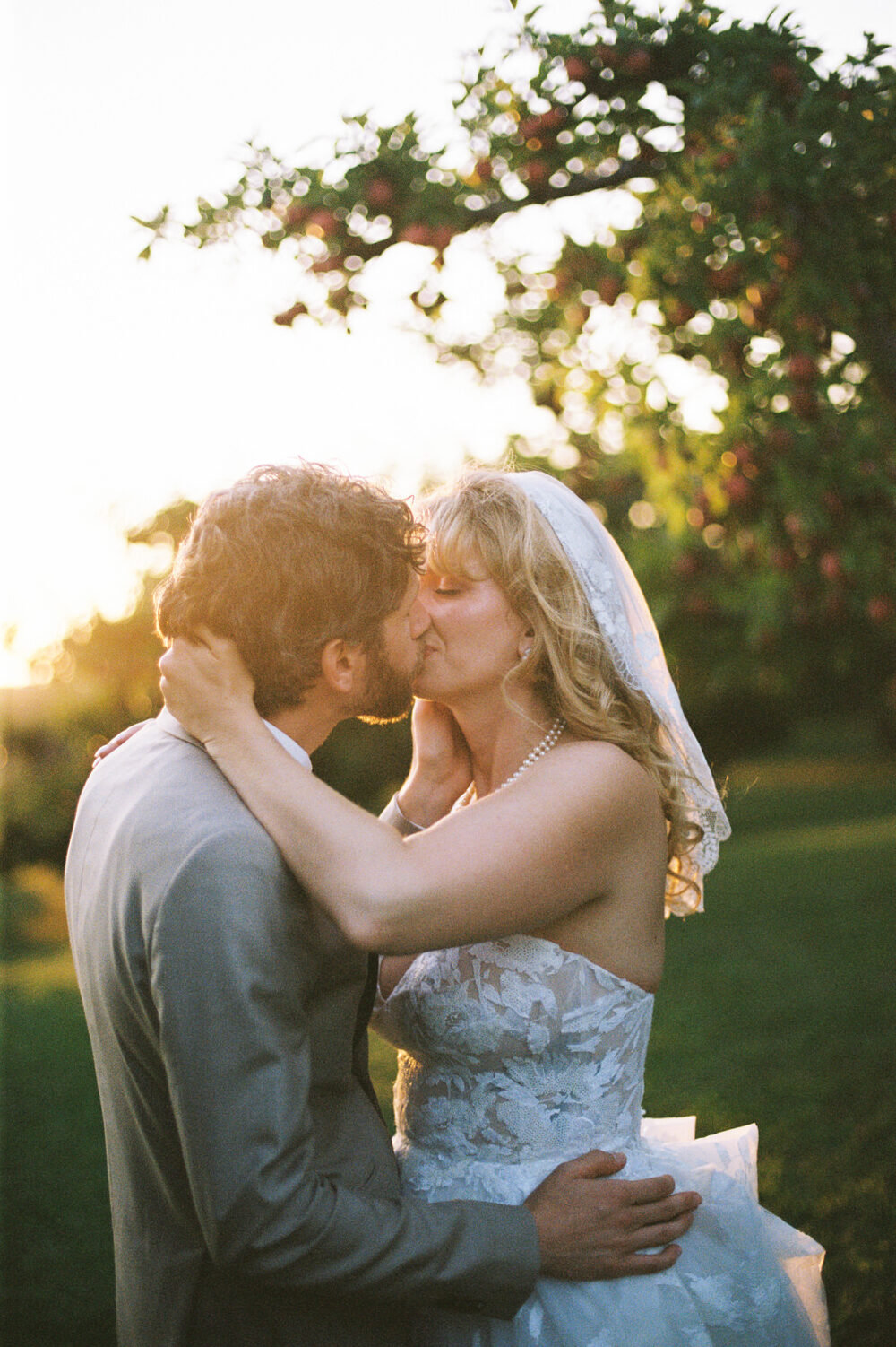 newly married couple at sunset in an apple orchard in northwest indiana